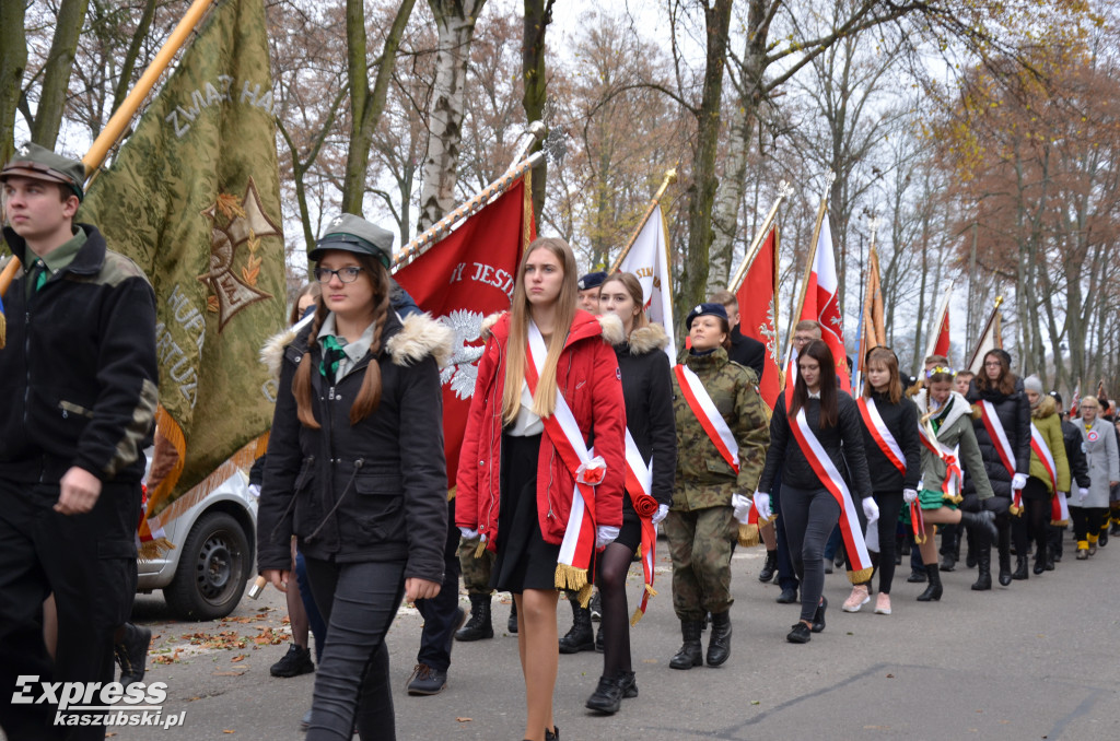 Kartuzy. Narodowy Dzień Niepodległości