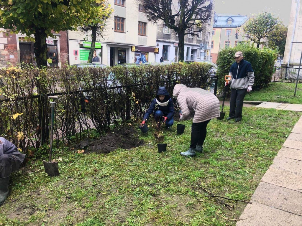 Kartuskie Inicjatywy Mieszkańców
