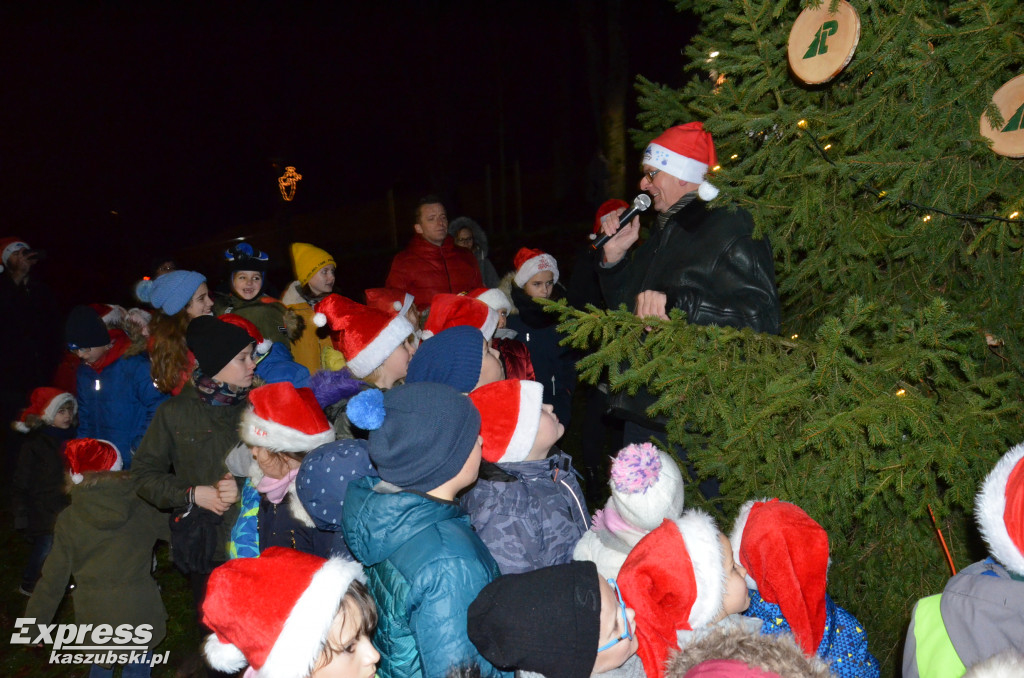 Rozświetlenie choinki w Kartuzach