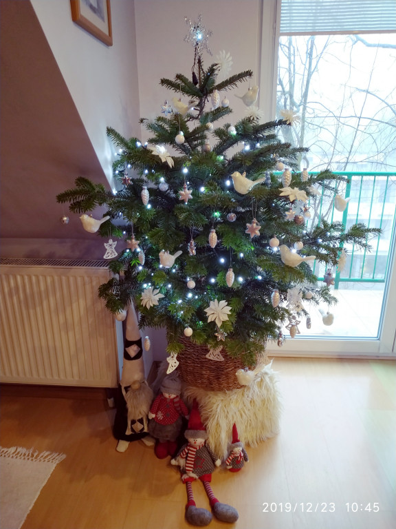 Galeria Waszych choinek