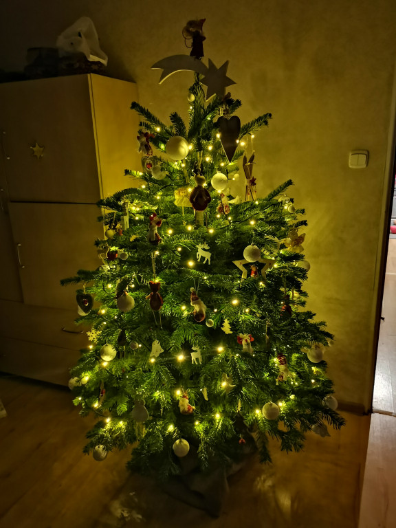 Galeria Waszych choinek