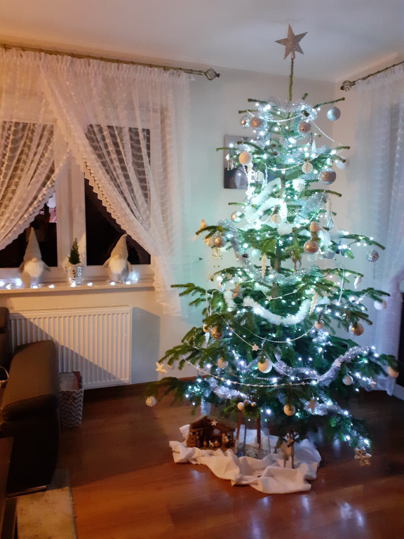 Galeria Waszych choinek