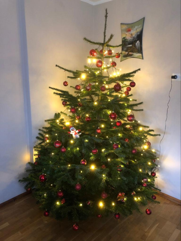 Galeria Waszych choinek