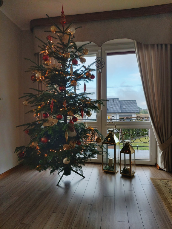 Galeria Waszych choinek