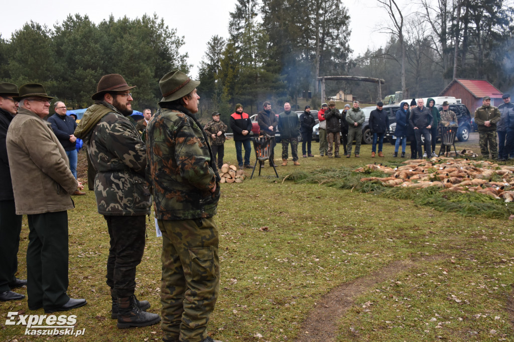 Doroczny pokot w Stężycy