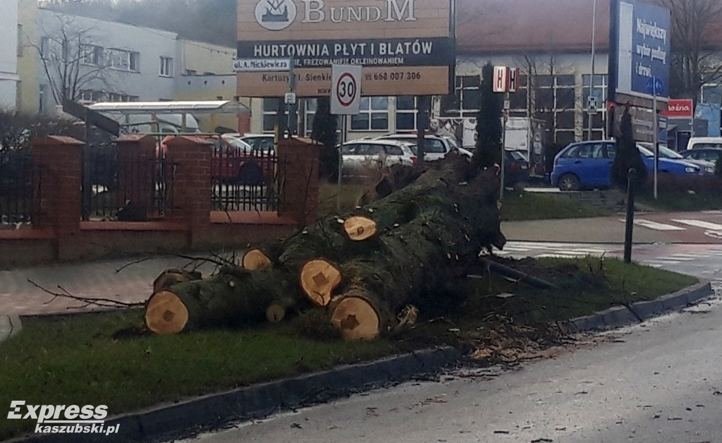 Powalone drzewa w Kartuzach