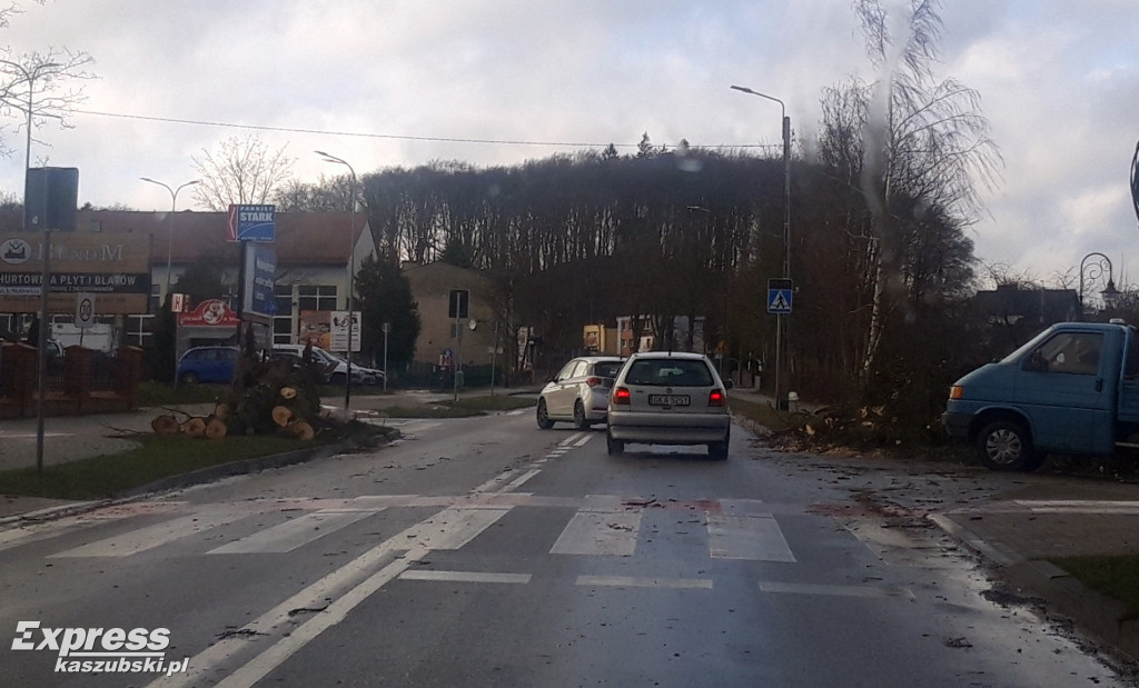 Powalone drzewa w Kartuzach