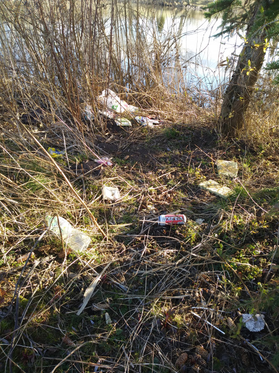 Śmieci nad Jeziorkiem w Żukowie