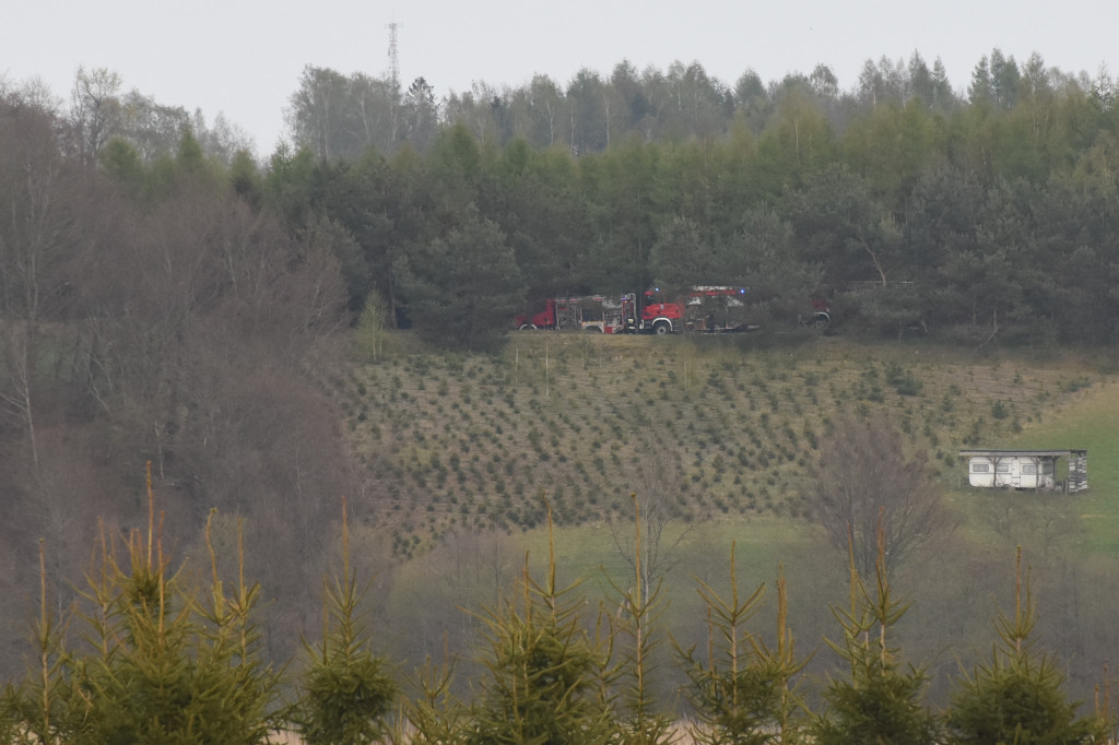 Pożar zagajnika w Łyśniewie