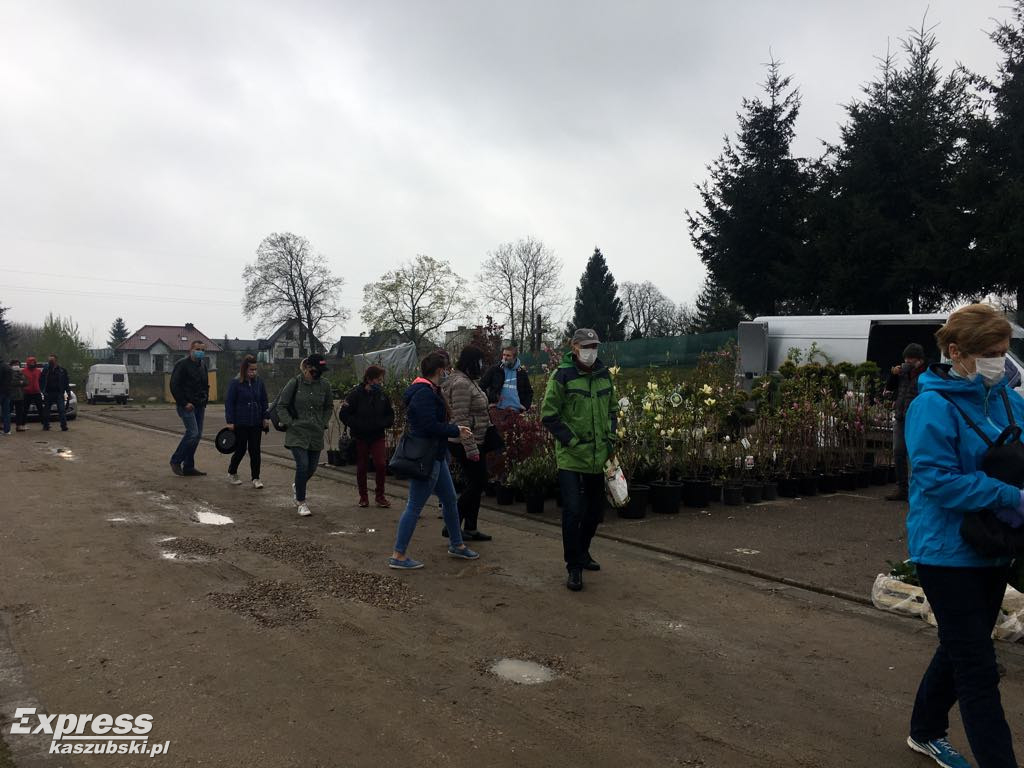 Święto Kwiatów i Krzewów w Sierakowicach
