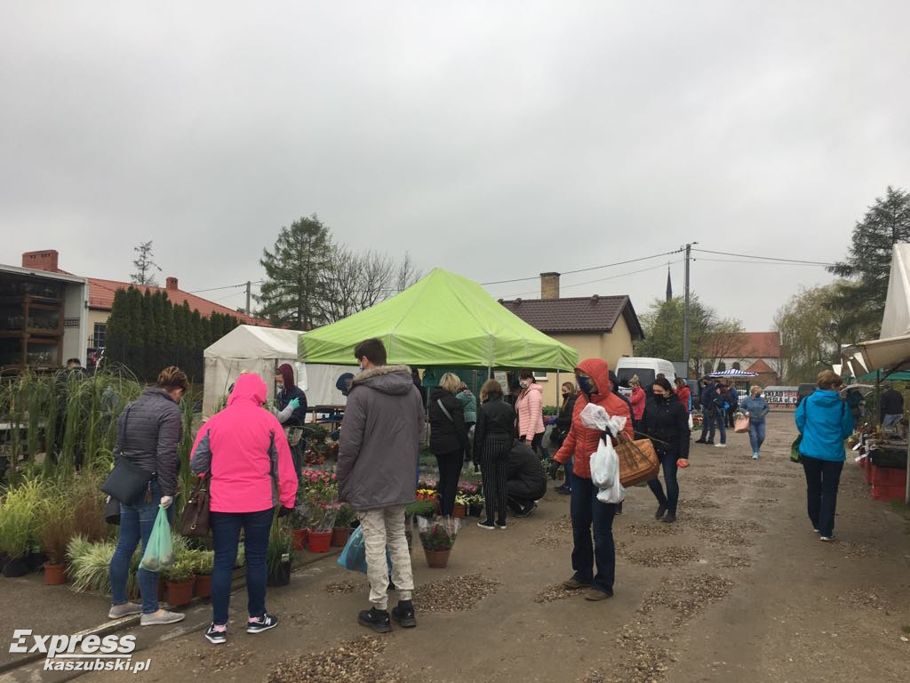 Święto Kwiatów i Krzewów w Sierakowicach