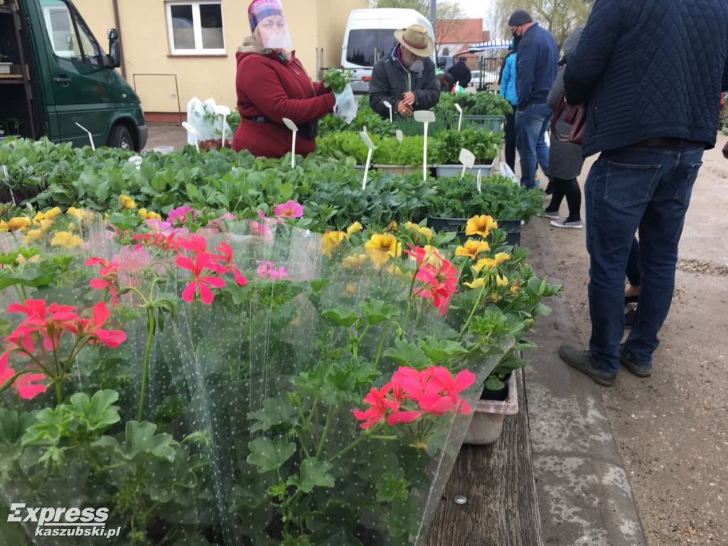 Święto Kwiatów i Krzewów w Sierakowicach