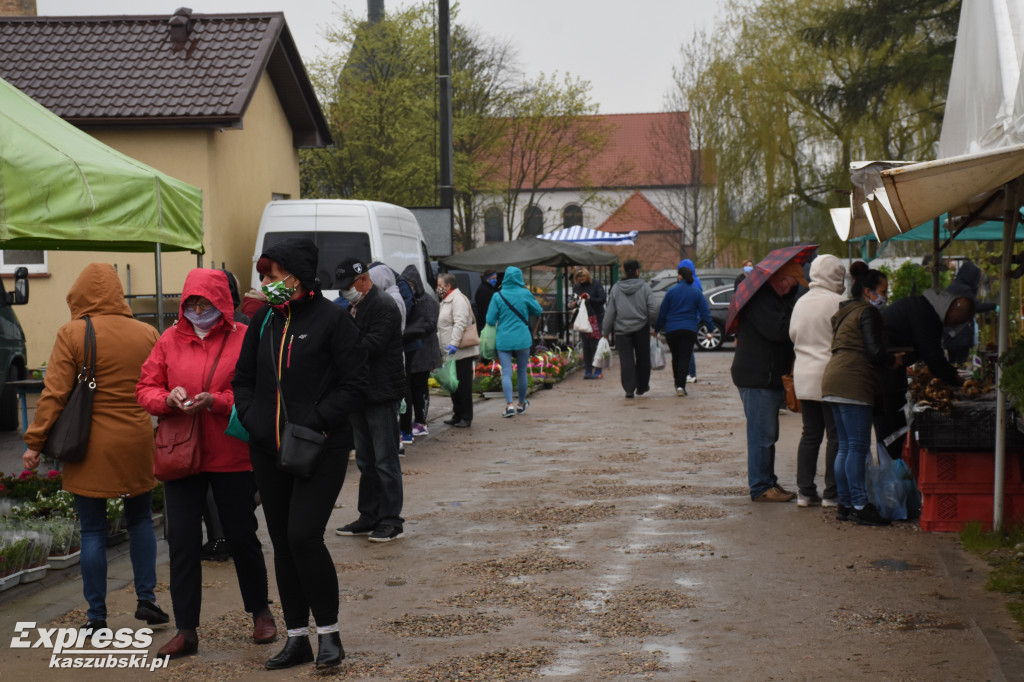 Święto Kwiatów i Krzewów w Sierakowicach