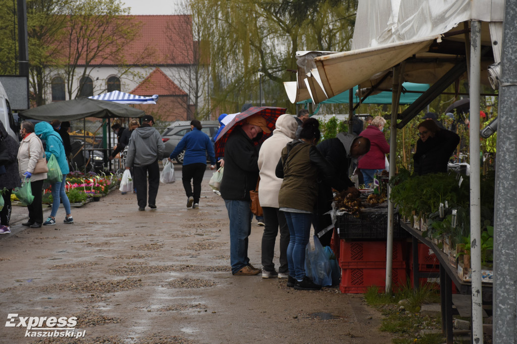 Święto Kwiatów i Krzewów w Sierakowicach