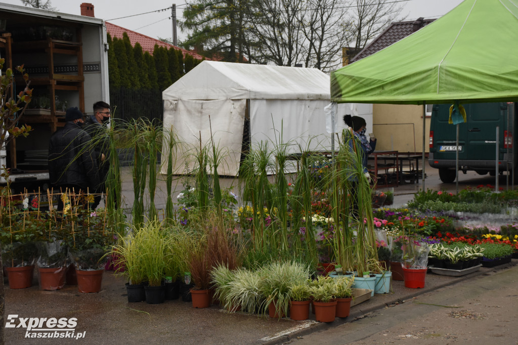 Święto Kwiatów i Krzewów w Sierakowicach