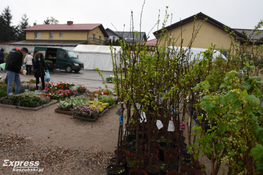 Święto Kwiatów i Krzewów w Sierakowicach
