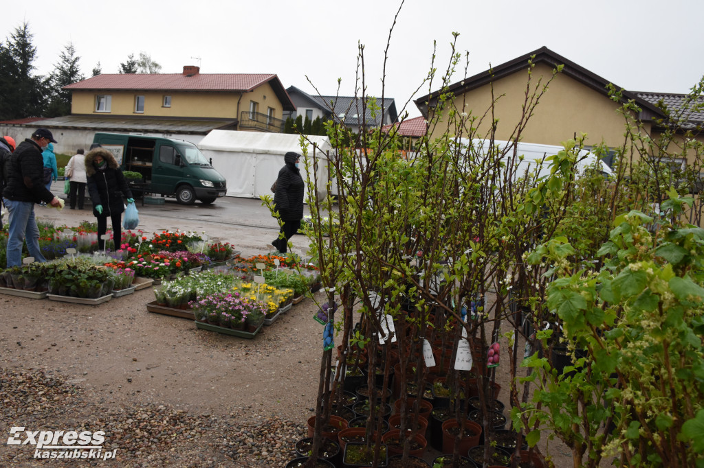 Święto Kwiatów i Krzewów w Sierakowicach