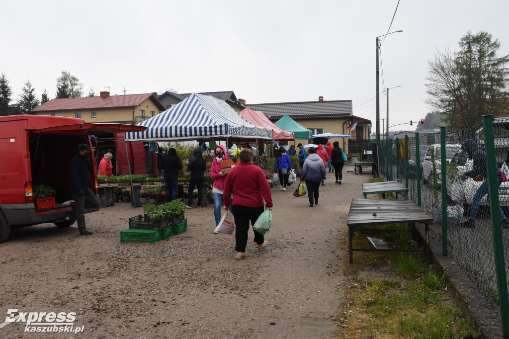 Święto Kwiatów i Krzewów w Sierakowicach