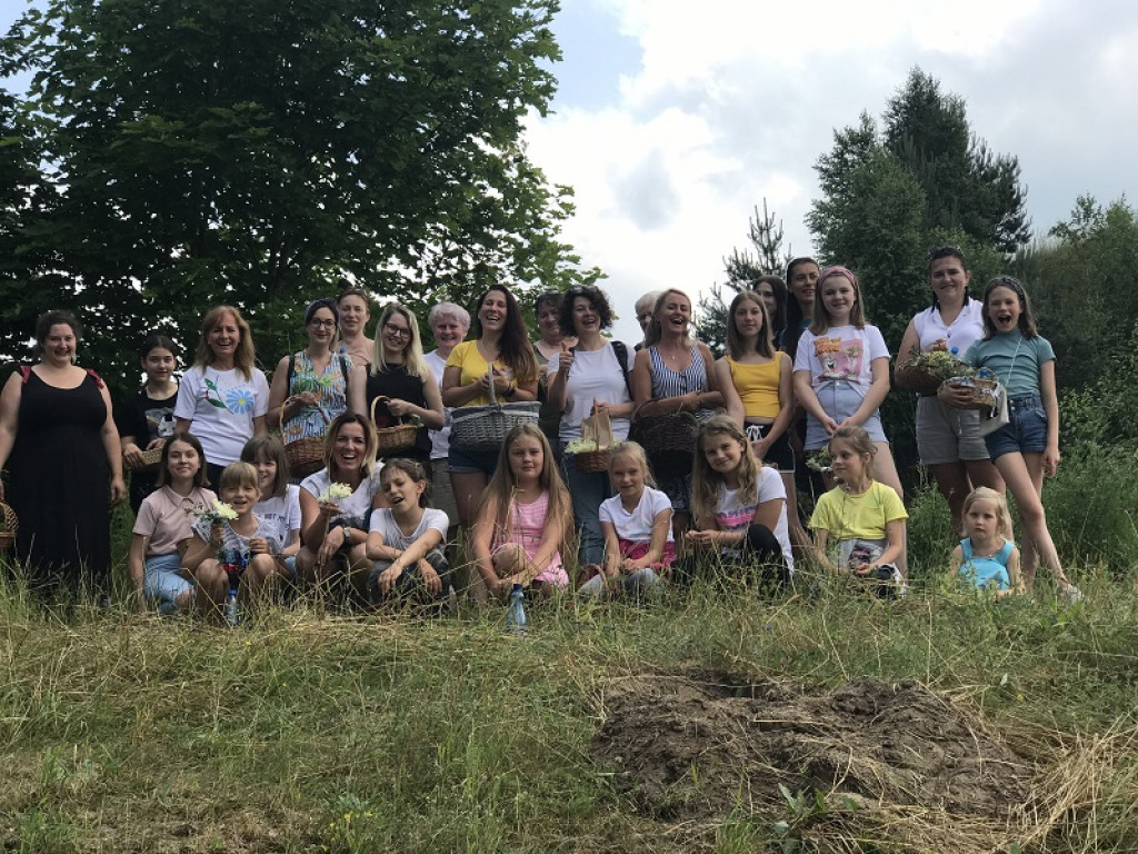 Panie z KGW Sławki zbierają zioła