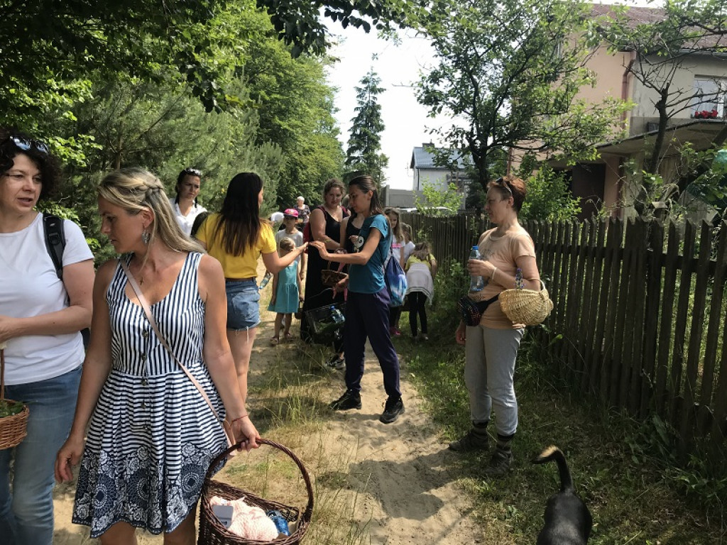 Panie z KGW Sławki zbierają zioła