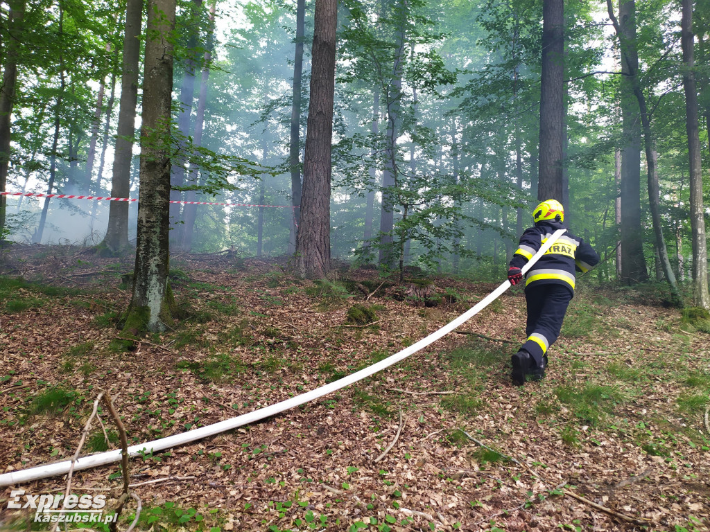 Ćwiczenia strażaków nieopodal Miechucina
