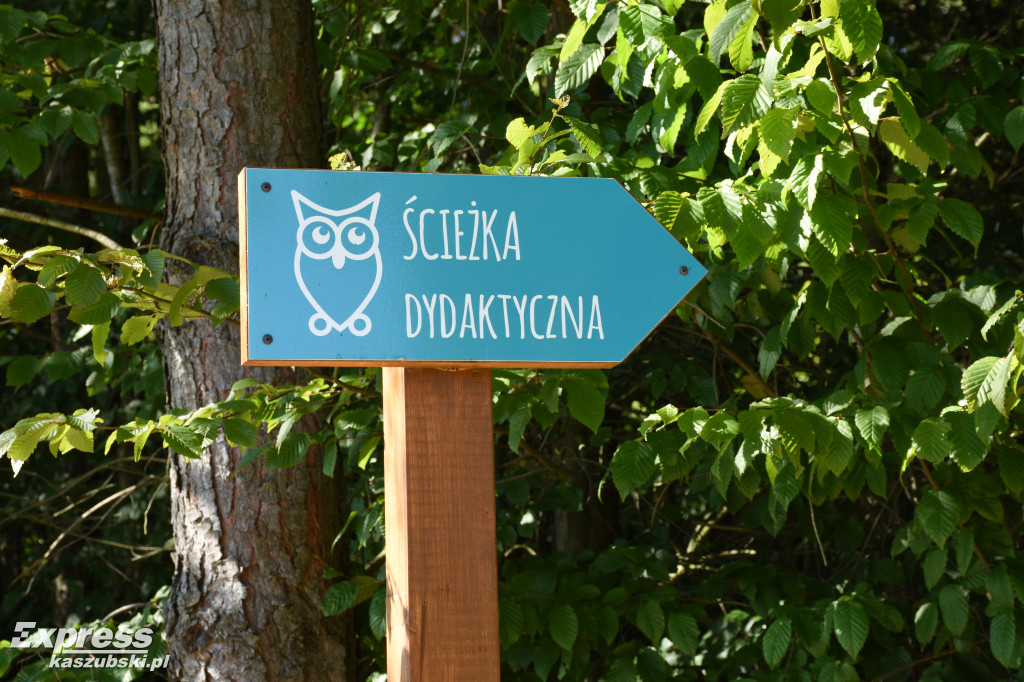 Widok z Tamowej Góry