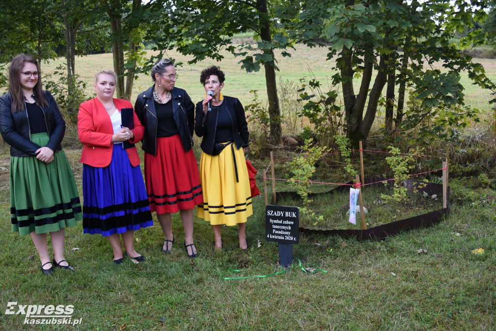 Potańcówka pod Szadym Bukiem