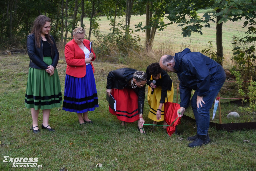 Potańcówka pod Szadym Bukiem