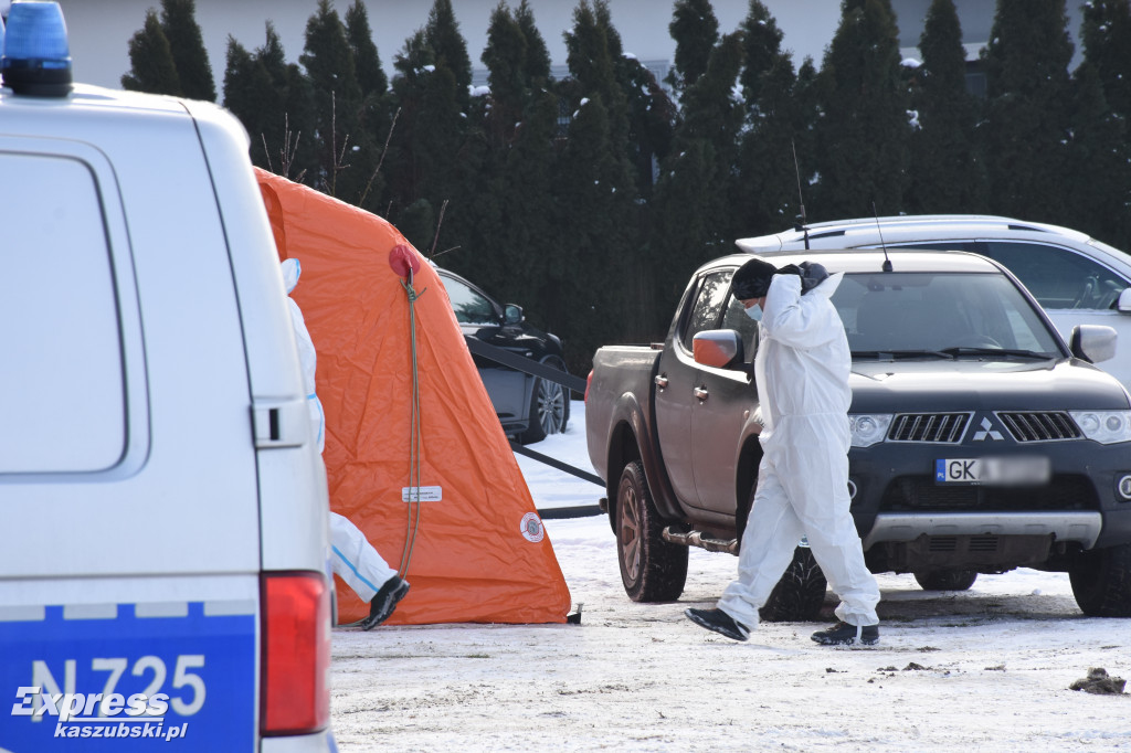 Wirus SARS-CoV-2 u norek na fermie w pow. kartuskim
