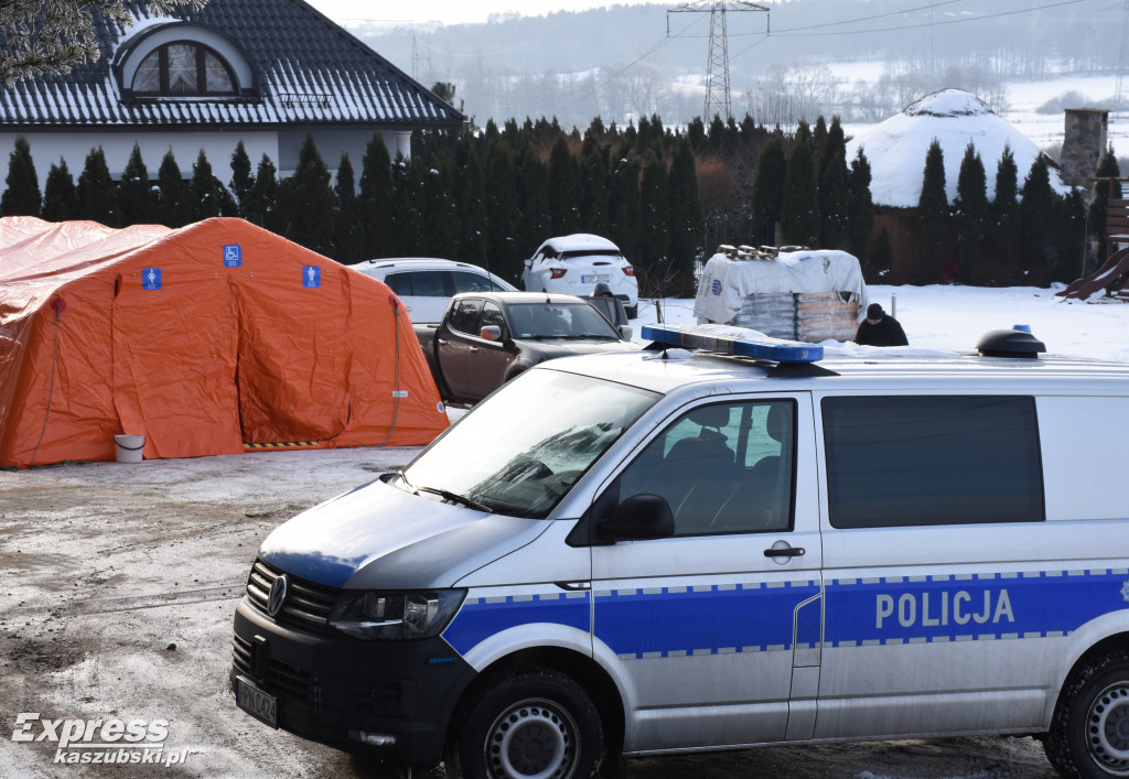 Wirus SARS-CoV-2 u norek na fermie w pow. kartuskim