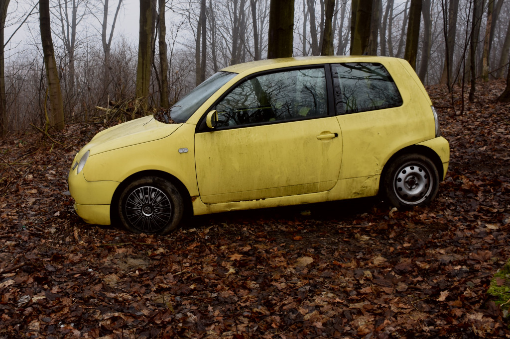 Auto pośrodku lasu