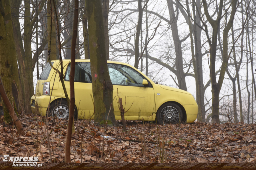Auto pośrodku lasu