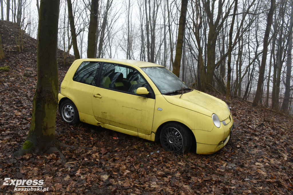 Auto pośrodku lasu