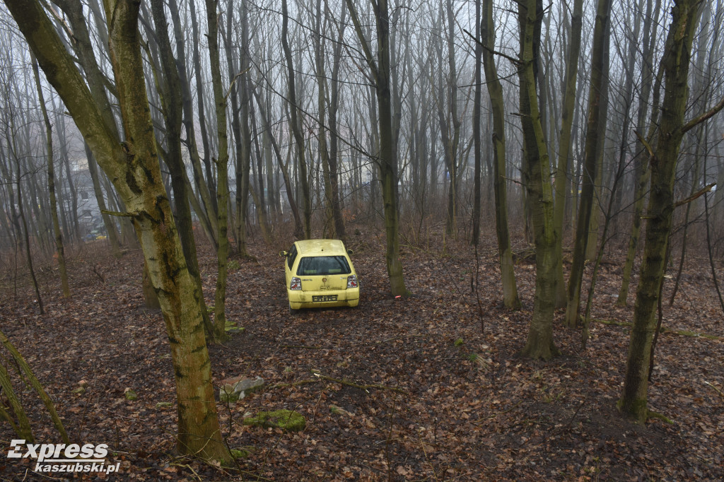 Auto pośrodku lasu