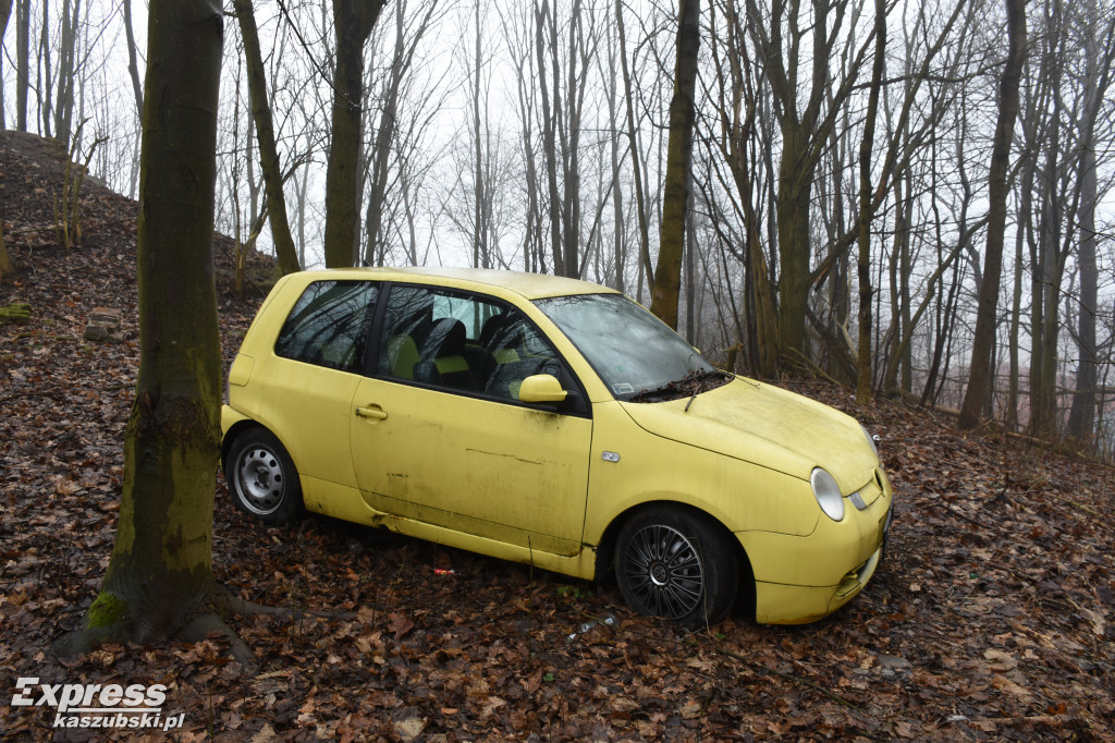 Auto pośrodku lasu