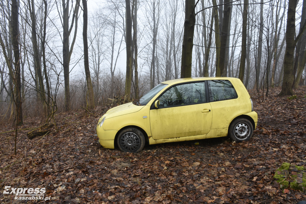 Auto pośrodku lasu