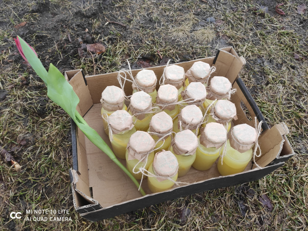 Przodkowskie Morsy uczciły Dzień Kobiet