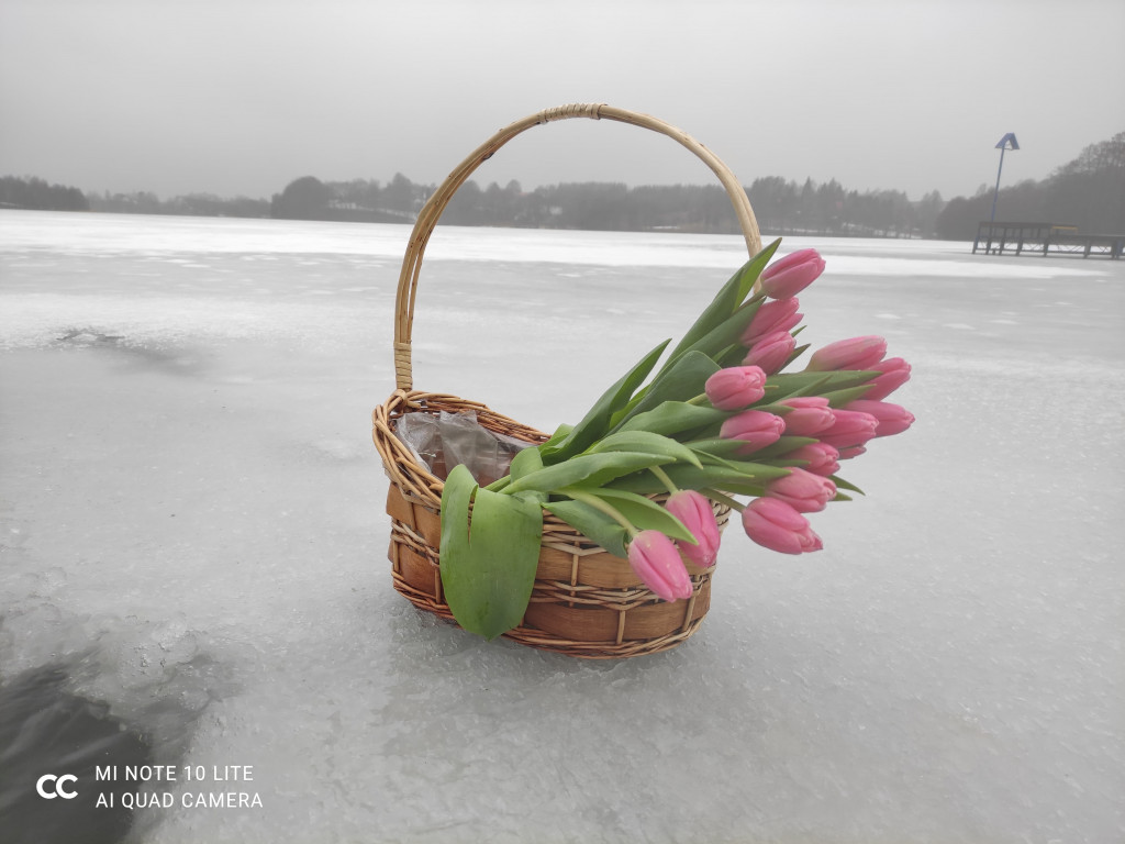 Przodkowskie Morsy uczciły Dzień Kobiet