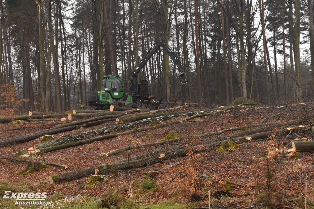 Wycinka lasu pod pętlę kolejową