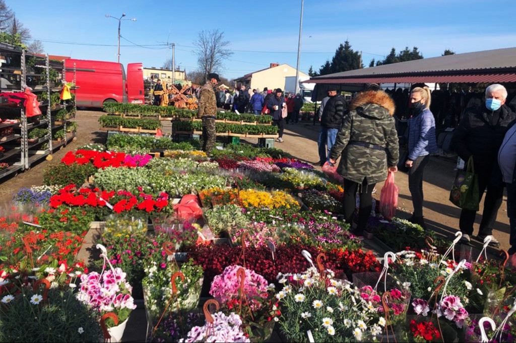 Sierakowice. Święto Kwiatów i Krzewów