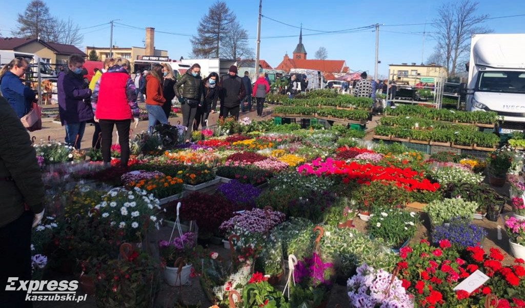 Sierakowice. Święto Kwiatów i Krzewów