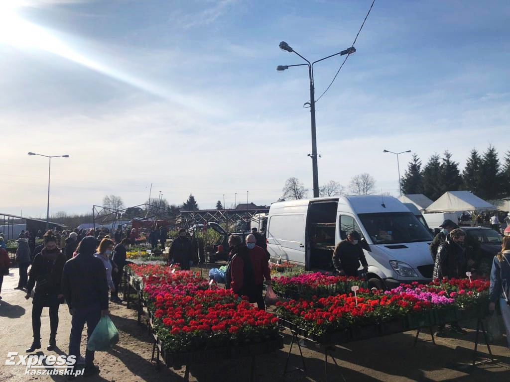 Sierakowice. Święto Kwiatów i Krzewów