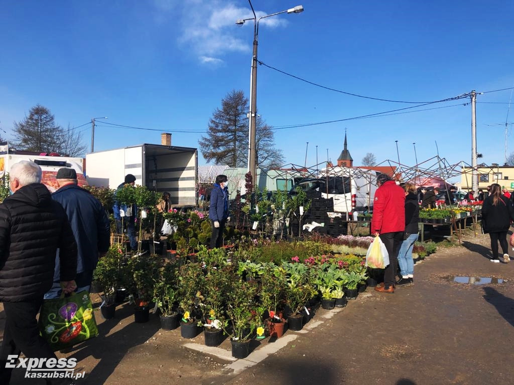 Sierakowice. Święto Kwiatów i Krzewów
