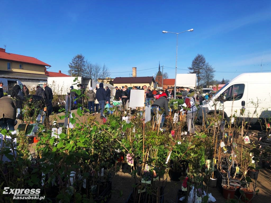 Sierakowice. Święto Kwiatów i Krzewów