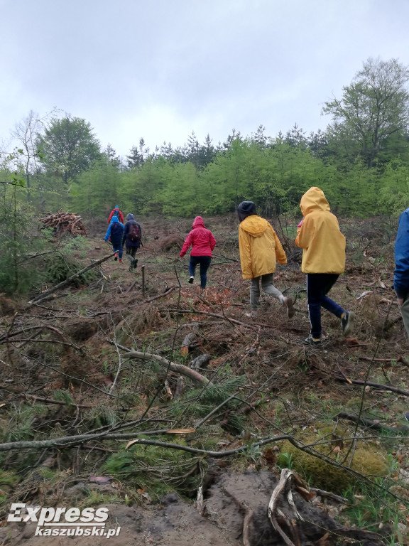 Warsztaty Wędrownej Dzikiej Kuchni