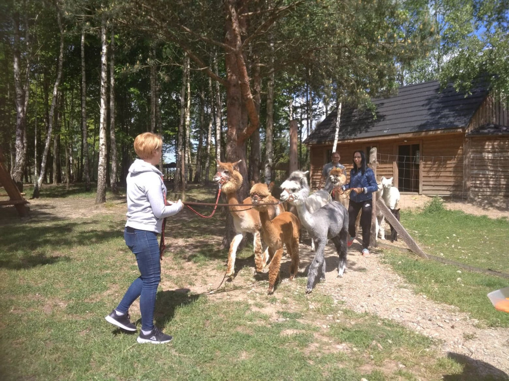 Festyn w Pomieczynie