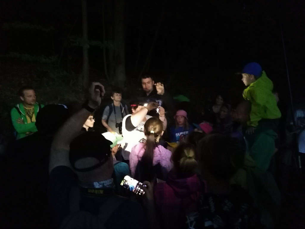 Warsztaty BioBlitz w gm. Somonino