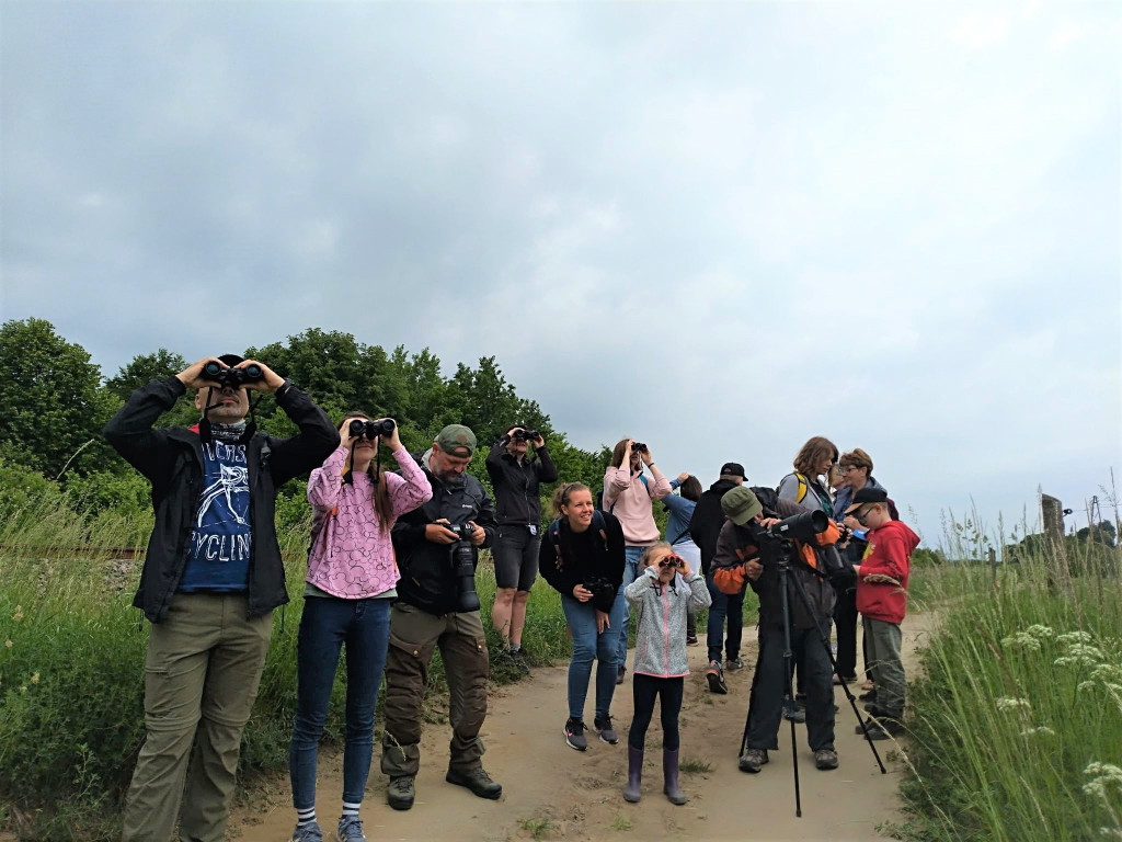 Warsztaty BioBlitz w gm. Somonino