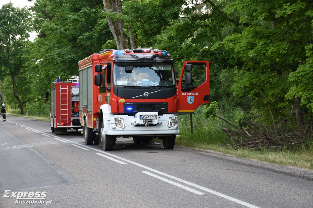 Pożar lasu w Pałubicach