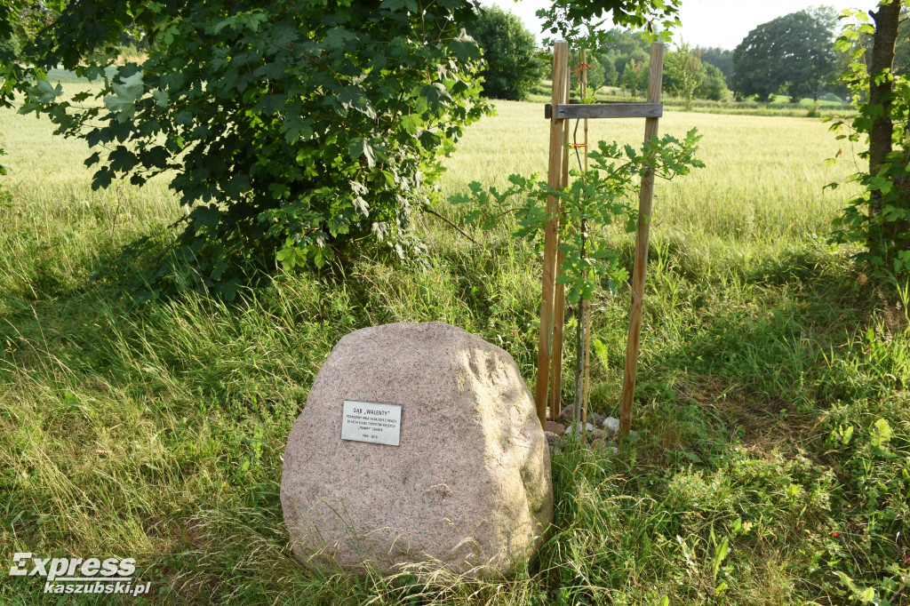 Potańcówka pod Szadym Bukiem